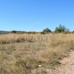 Terreno rústico edificable de 20.600 metros en Càlig, al lado de la carretera, buenos accesos