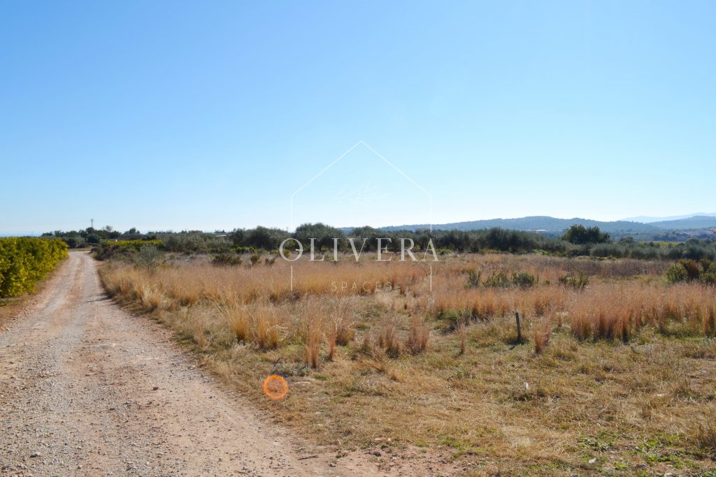 Terreno rústico edificable de 20.600 metros en Càlig, al lado de la carretera, buenos accesos