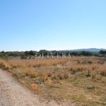 Terreno rústico edificable de 20.600 metros en Càlig, al lado de la carretera, buenos accesos
