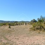 Terreno rústico edificable de 20.600 metros en Càlig, al lado de la carretera, buenos accesos