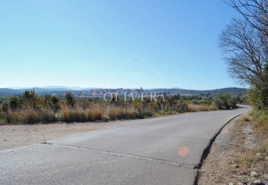 Terreno rústico edificable de 20.600 metros en Càlig, al lado de la carretera, buenos accesos