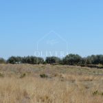 Terreno rústico edificable de 20.600 metros en Càlig, al lado de la carretera, buenos accesos