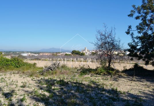 Terreno rústico edificable de 23000 metros cuadrados, con accesos excelentes y buenas vistas en Càlig