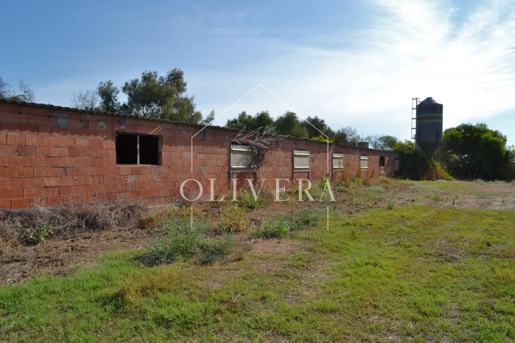 Granja en terreno rústico Càlig