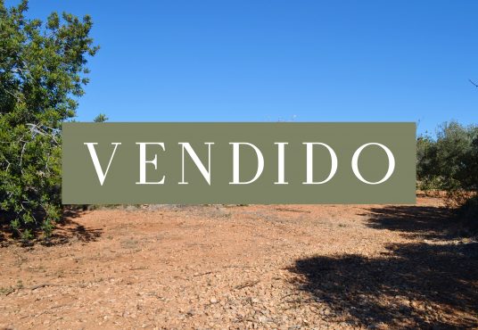 vendido